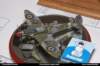 pz055 pz055_small.jpg