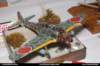 pz069 pz069_small.jpg