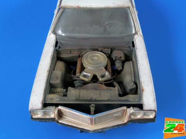 photo11.jpg