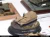 pz08_mladez_060_small.jpg