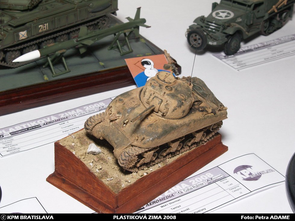 pz08_mladez_062.jpg