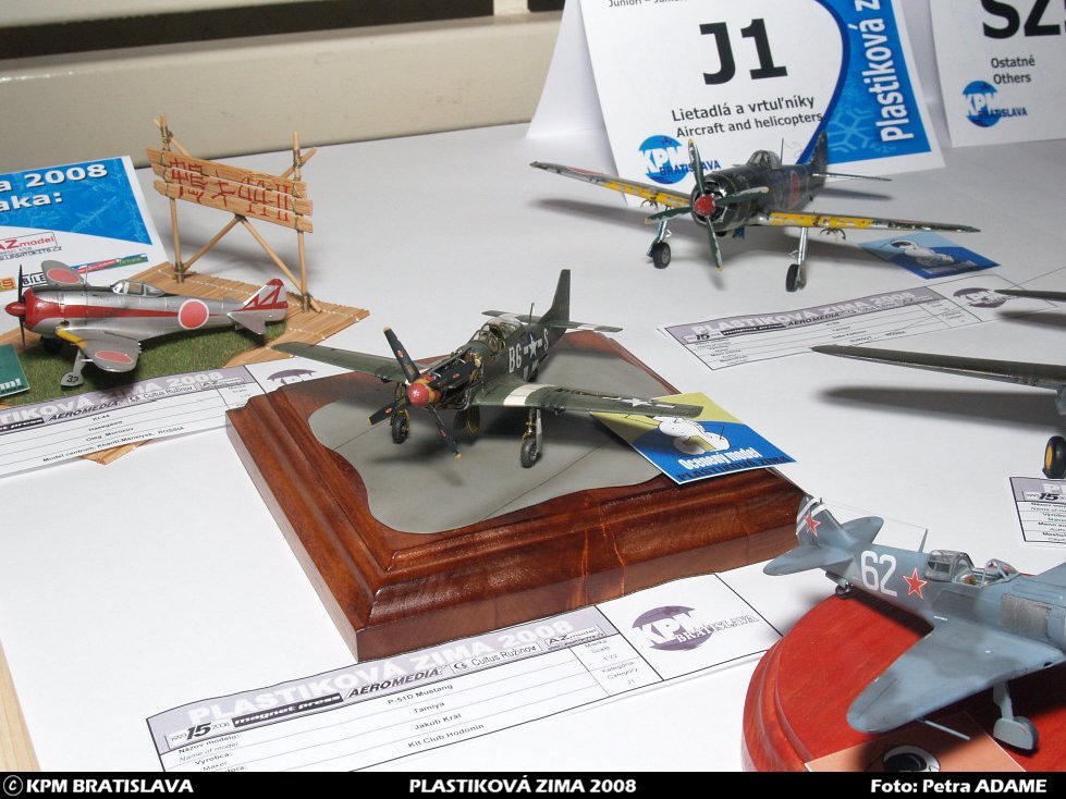 pz08_mladez_083.jpg