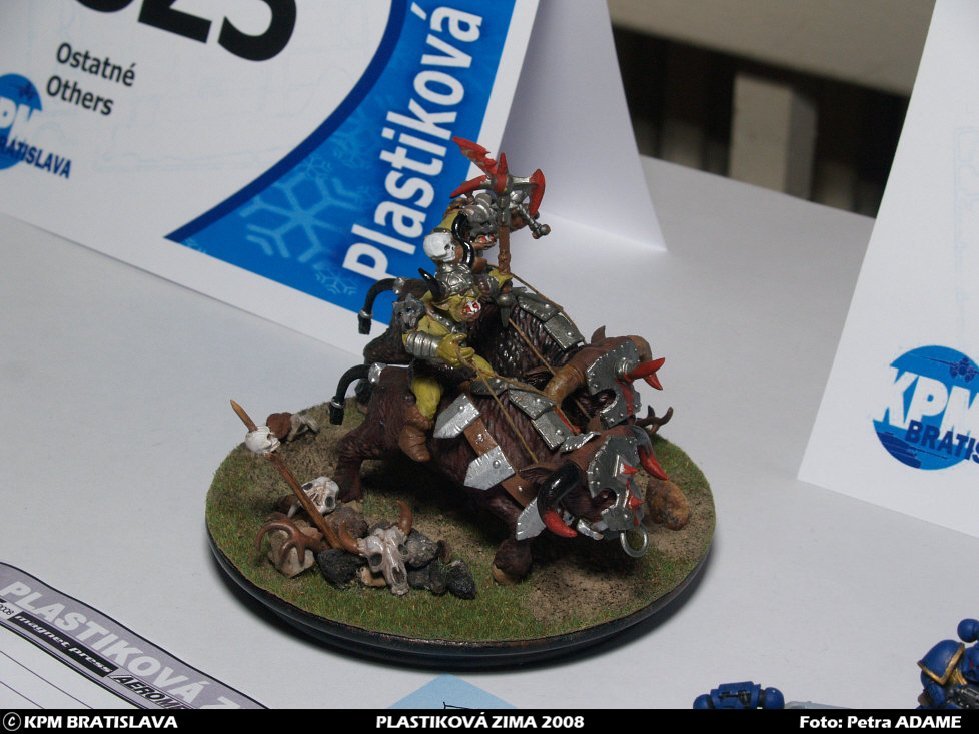 pz08_mladez_092.jpg