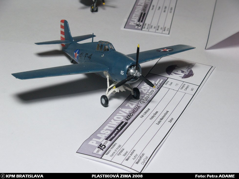 pz08_mladez_179.jpg