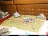 pz08_ostatne_011_small.jpg