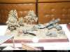 pz08_ostatne_018_small.jpg