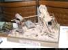pz08_ostatne_021_small.jpg