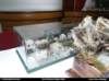 pz08_ostatne_037_small.jpg