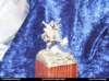 pz08_ostatne_060_small.jpg