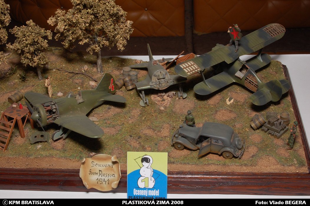 pz110.jpg