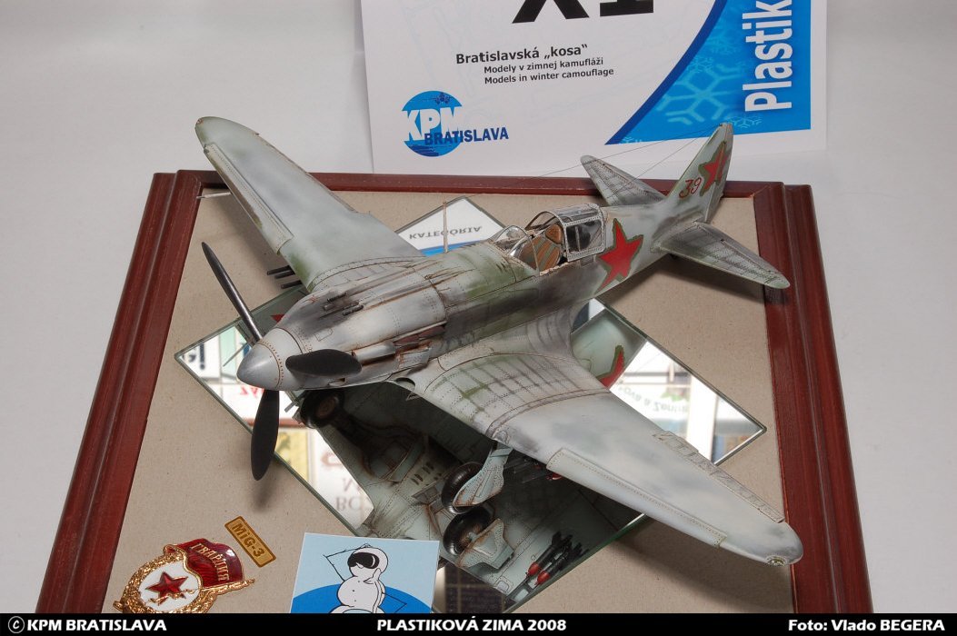 pz124.jpg