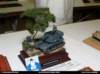 pz08_technika_034_small.jpg