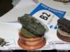 pz08_technika_076_small.jpg