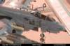 eday060027_small.jpg